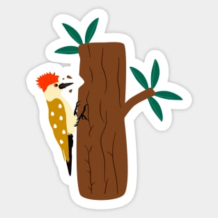 Colorful Woodpecker Sticker